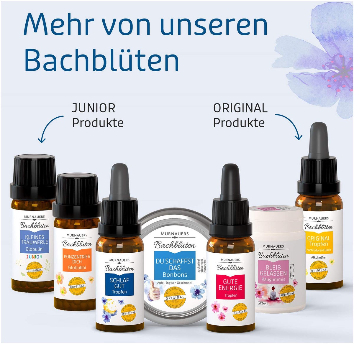Bachblüten Murnauer 20 ml Tropfen Schlaf Gut