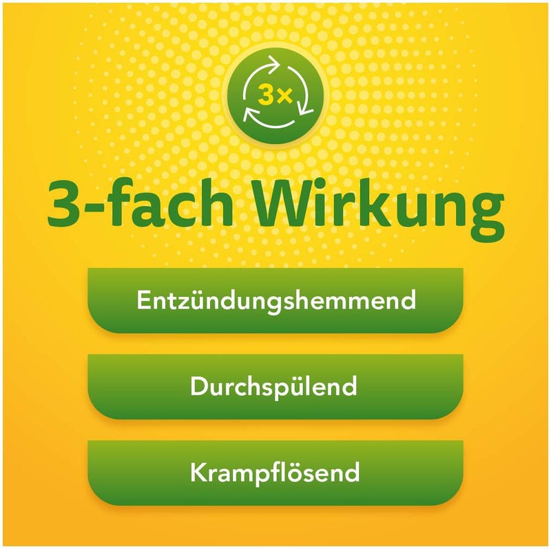 Solidago Aristo 300 mg Tabletten 60 Stück