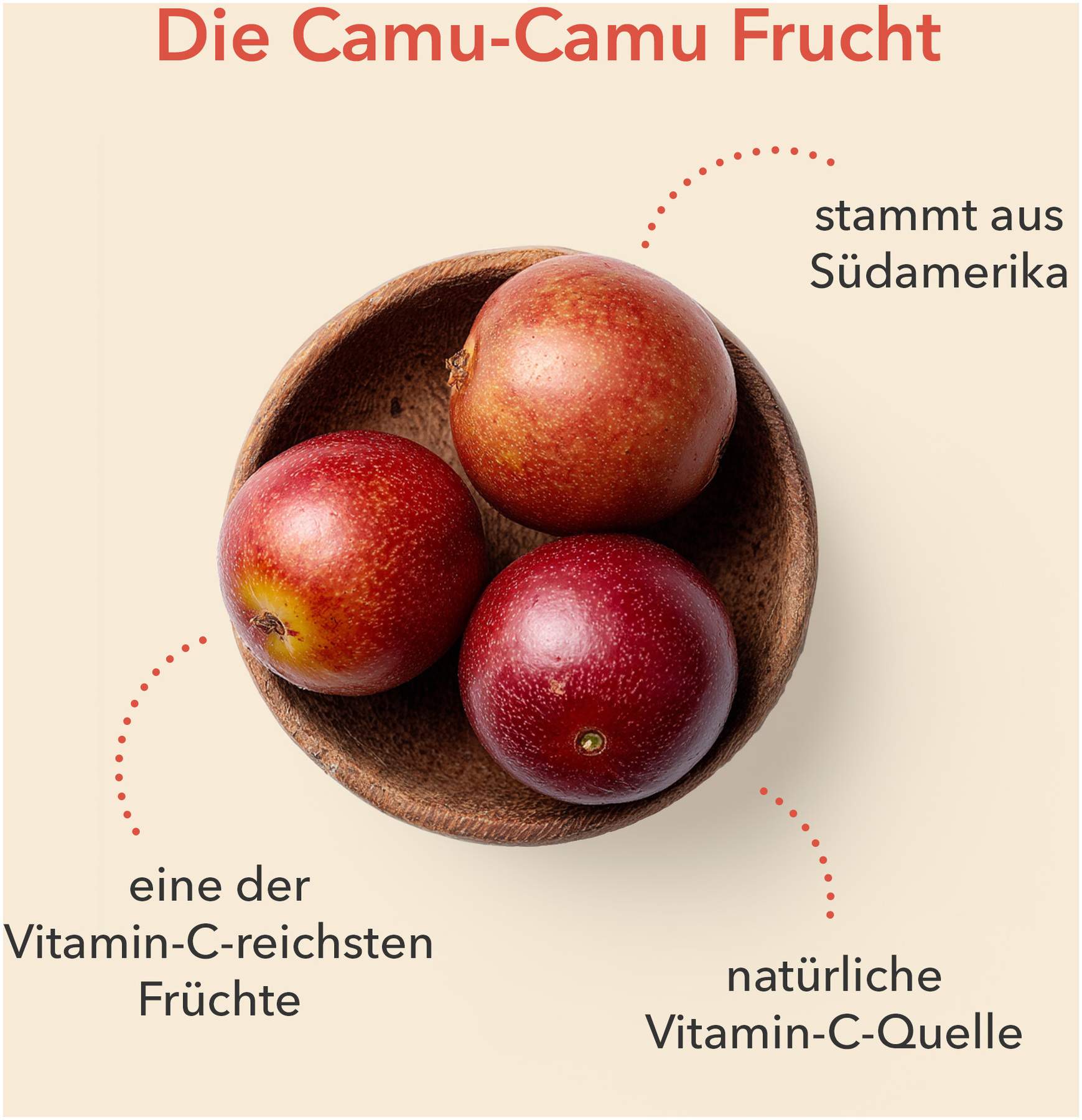 Dermasel Maske Meeresenergie Vitamin C 12 ml