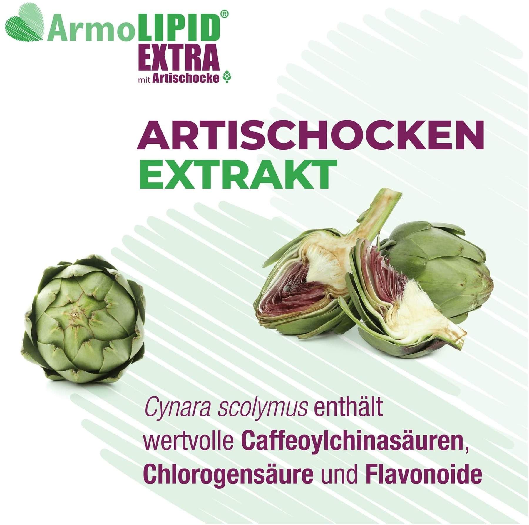 Armolipid Extra 30 Tabletten