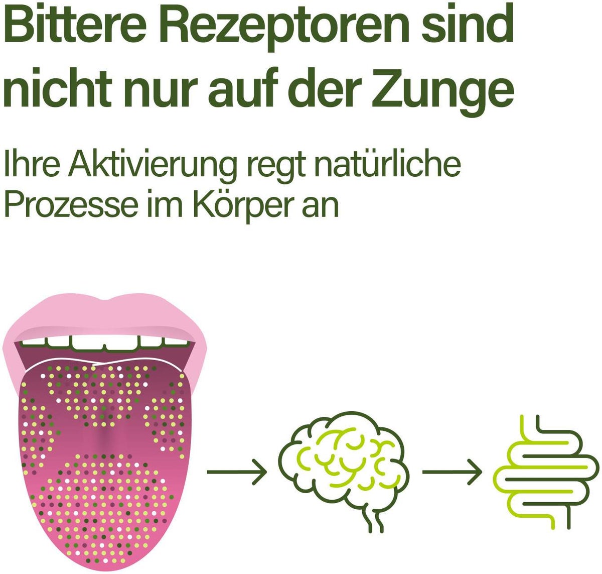 Nupure Proba Bitter Naturkräuter Tropfen Forte 50 ml