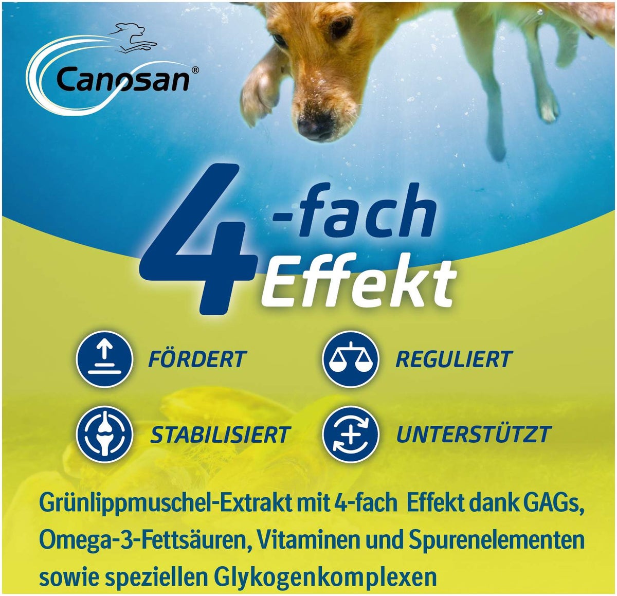 Canosan Konzentrat 650 g