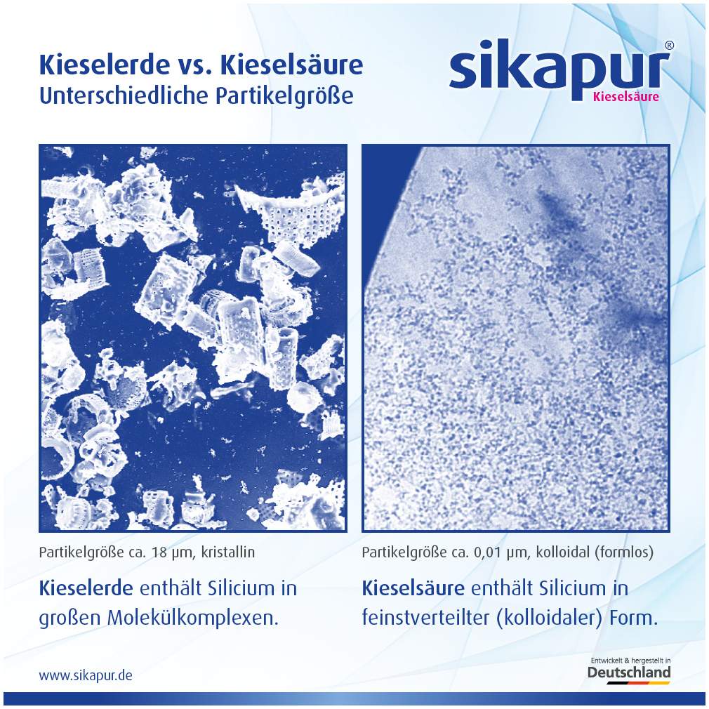 Sikapur Kieselsäure Gel 50 ml