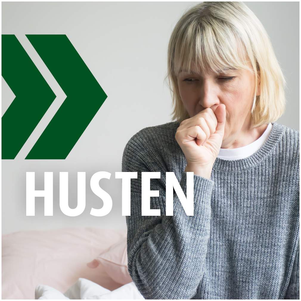 Prospan Husten Brausetabletten 20 Stück