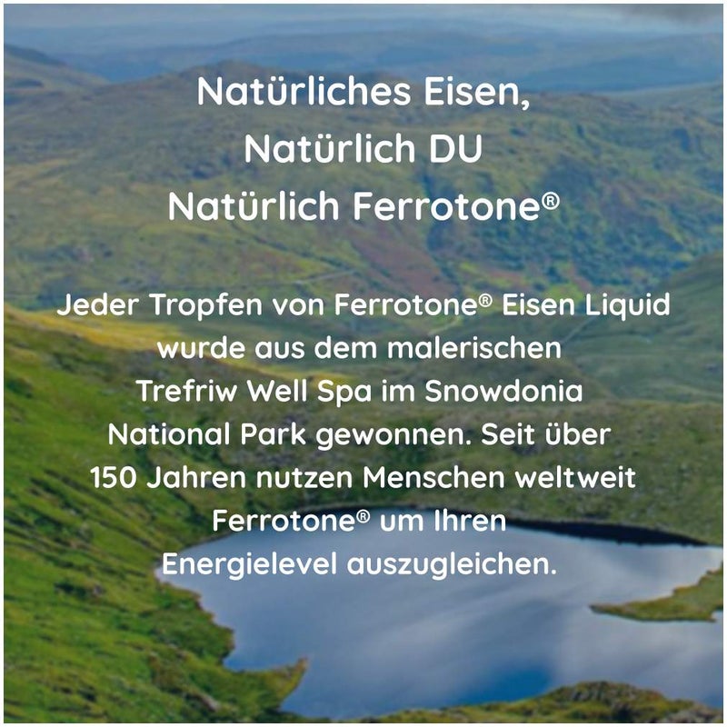 Ferrotone Natürliches Eisen 28 x 20 ml Beutel