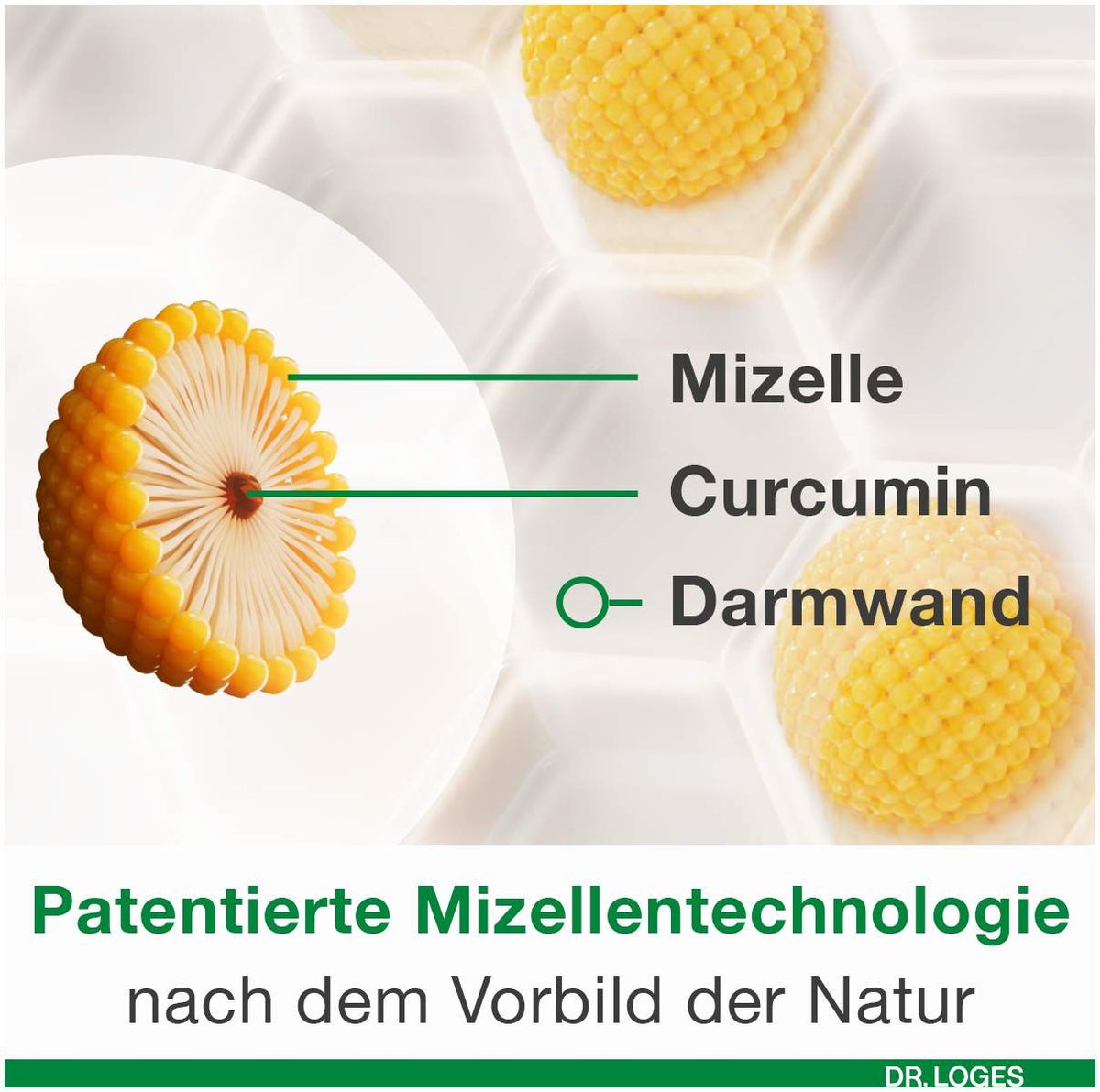 Curcumin Loges Plus Boswellia 60 Kapseln