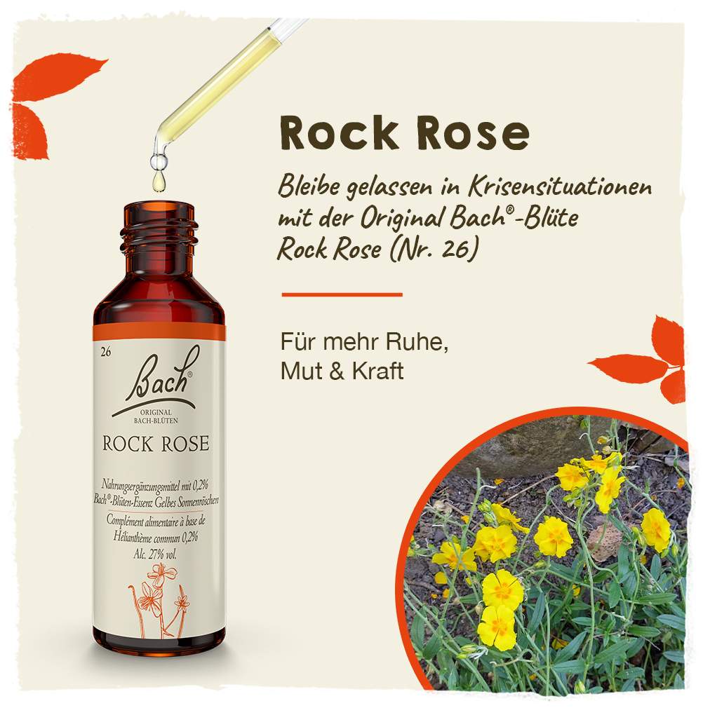 Bachblüten Rock Rose 20 ml Tropfen