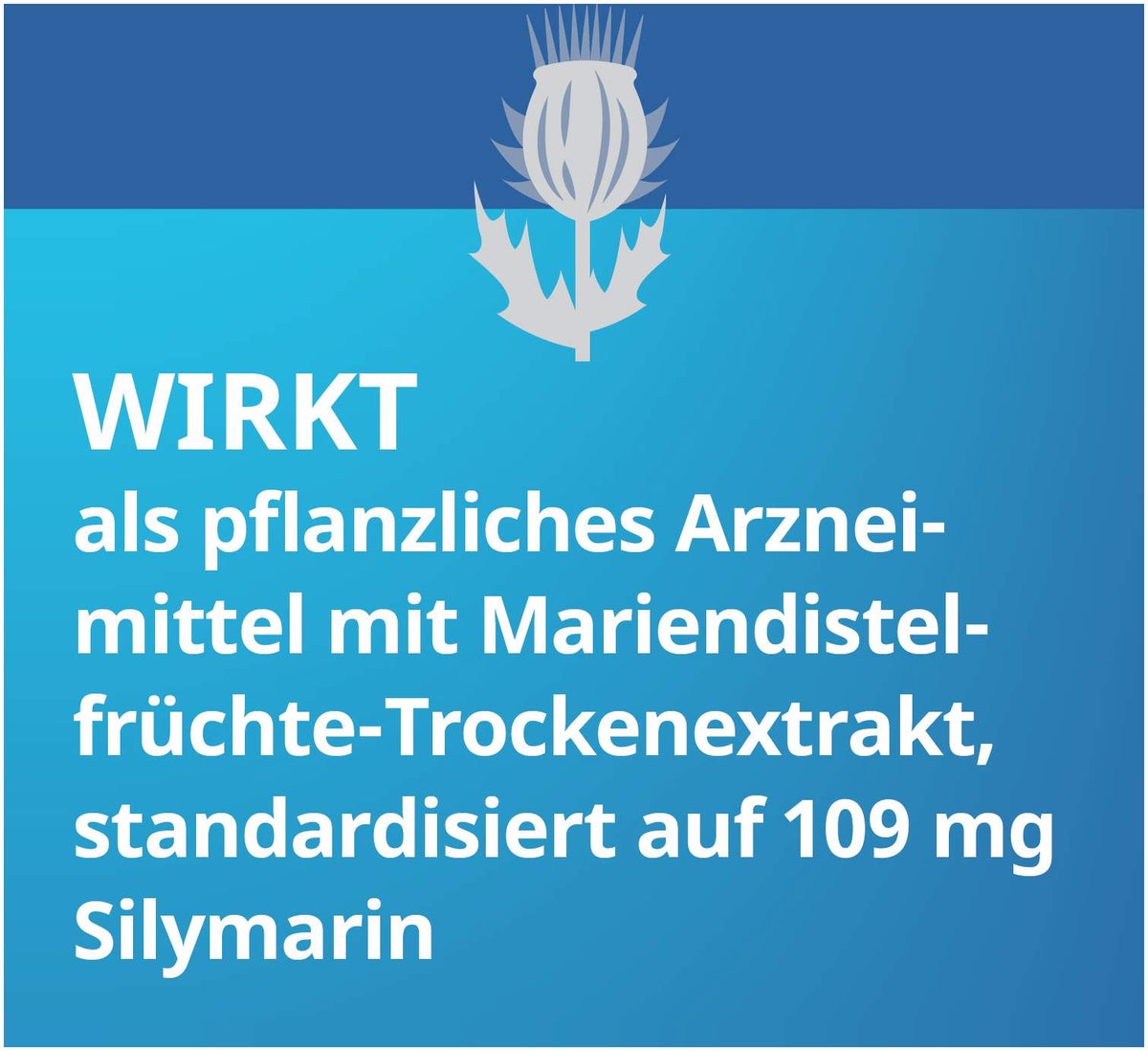 Silymarin Stada 109 mg Hartkapseln 30 Stück