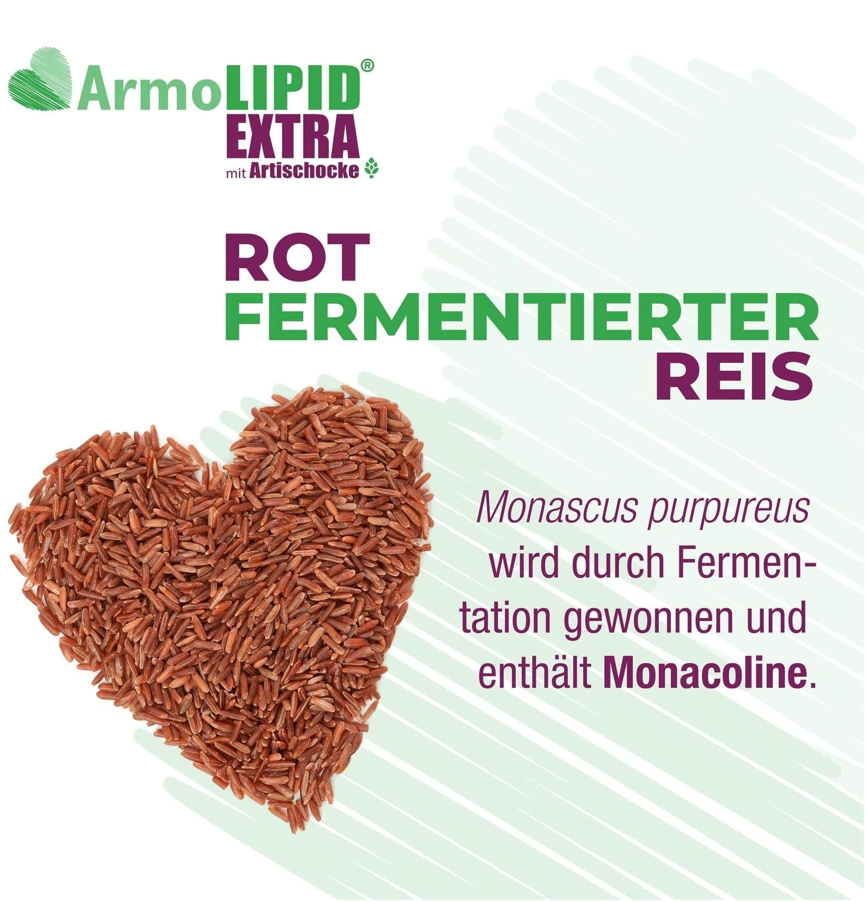 Armolipid Extra 60 Tabletten