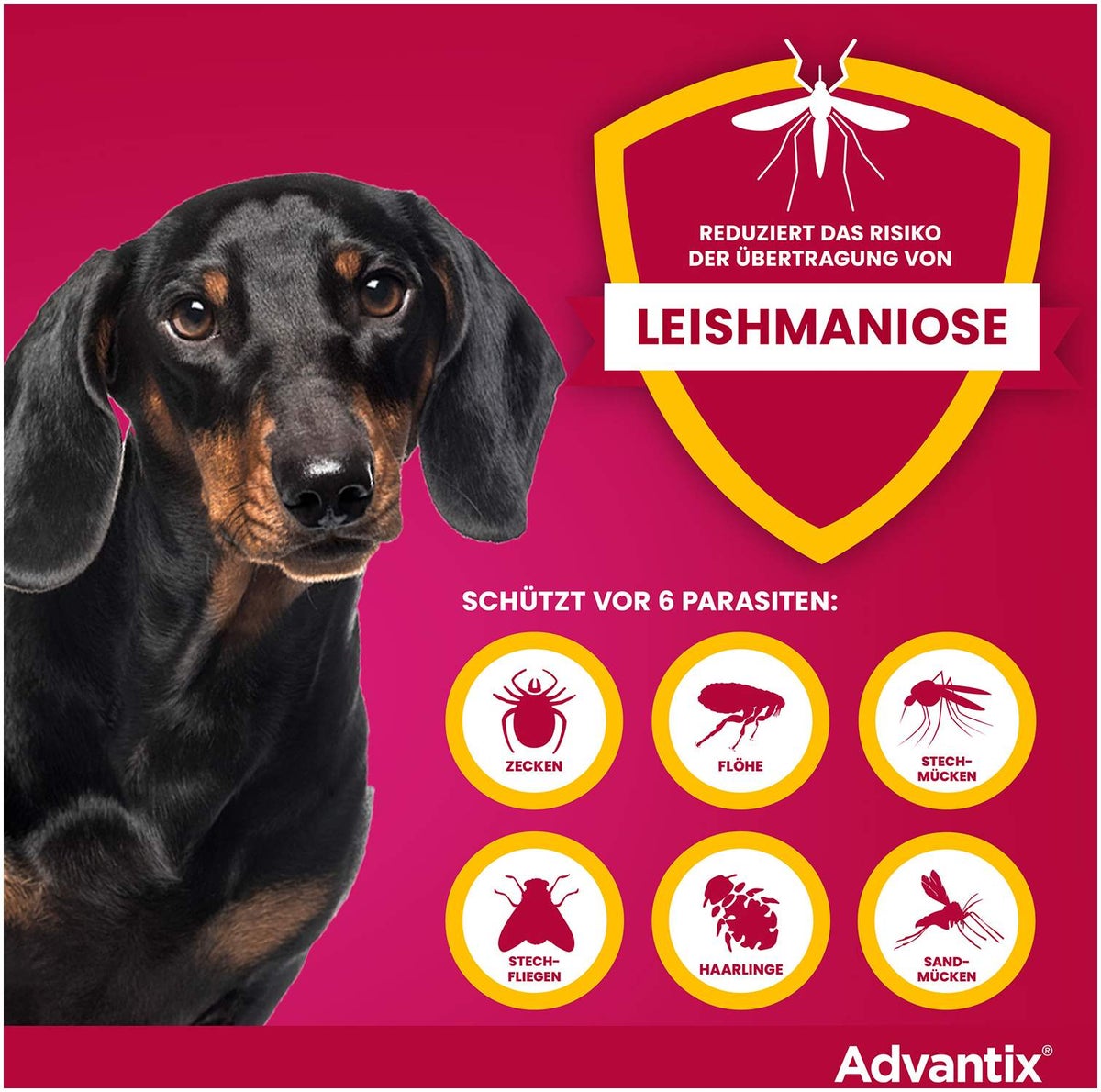 Advantix Spot-On Hund bis 4 kg 4 x 0,4 ml Lösung