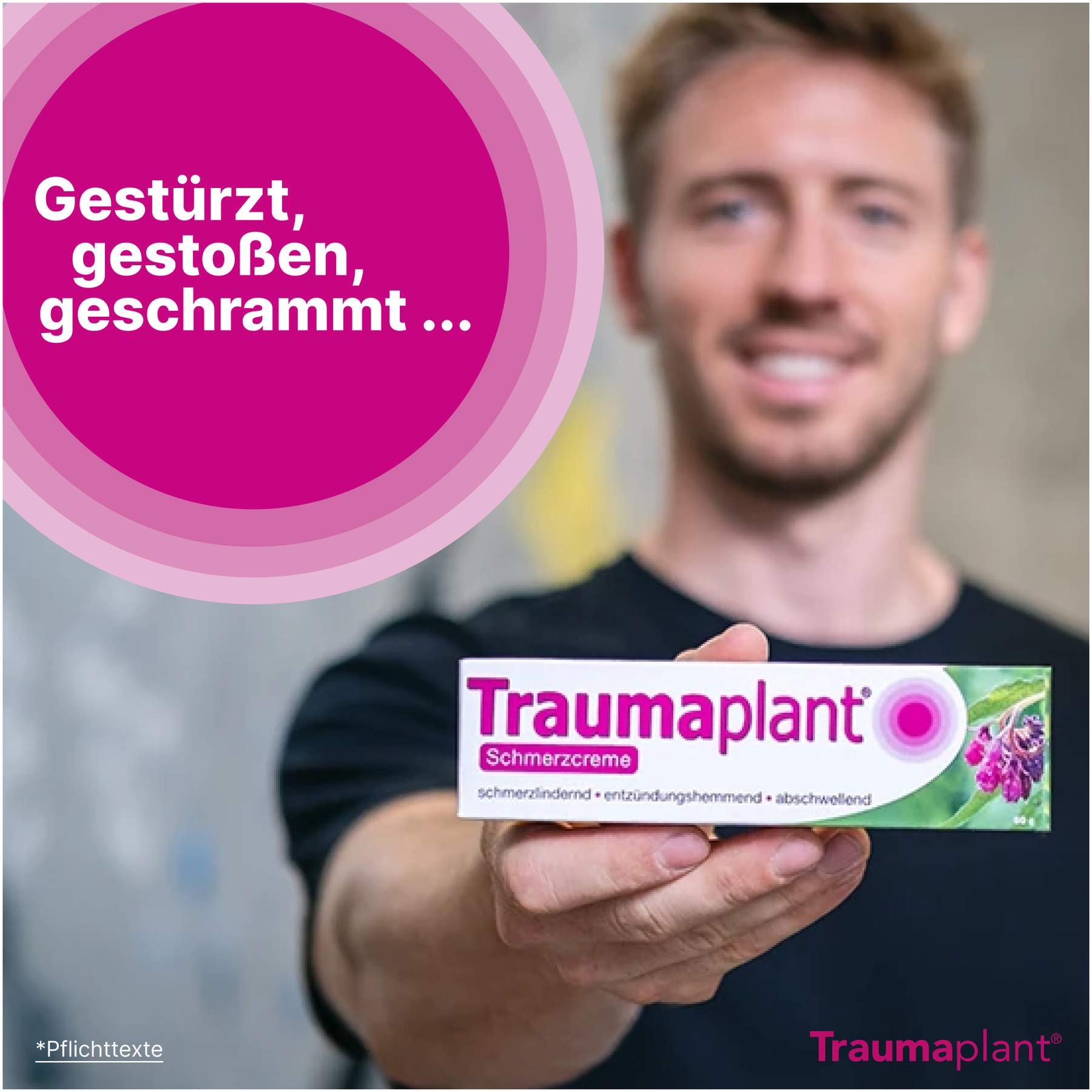 Traumaplant Schmerzcreme 50 g