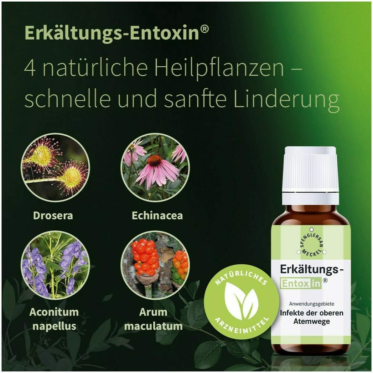 Erkältungs Entoxin 50 ml Tropfen
