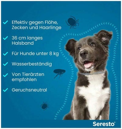 Seresto Halsband für kleine Hunde 1 Stück