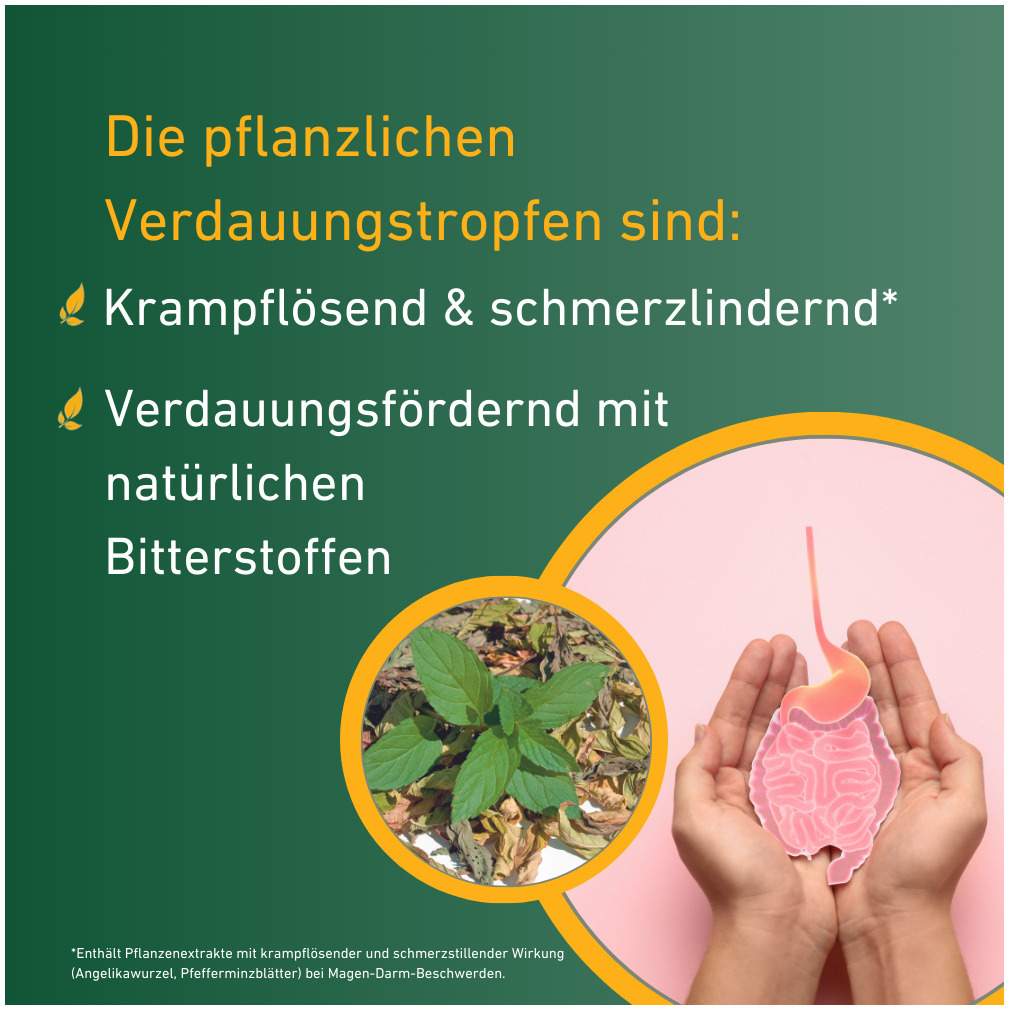 Carvomin Verdauungstropfen 20 ml