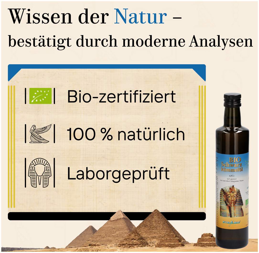 Schwarzkümmel Bio Ägyptisches Öl 1000 ml