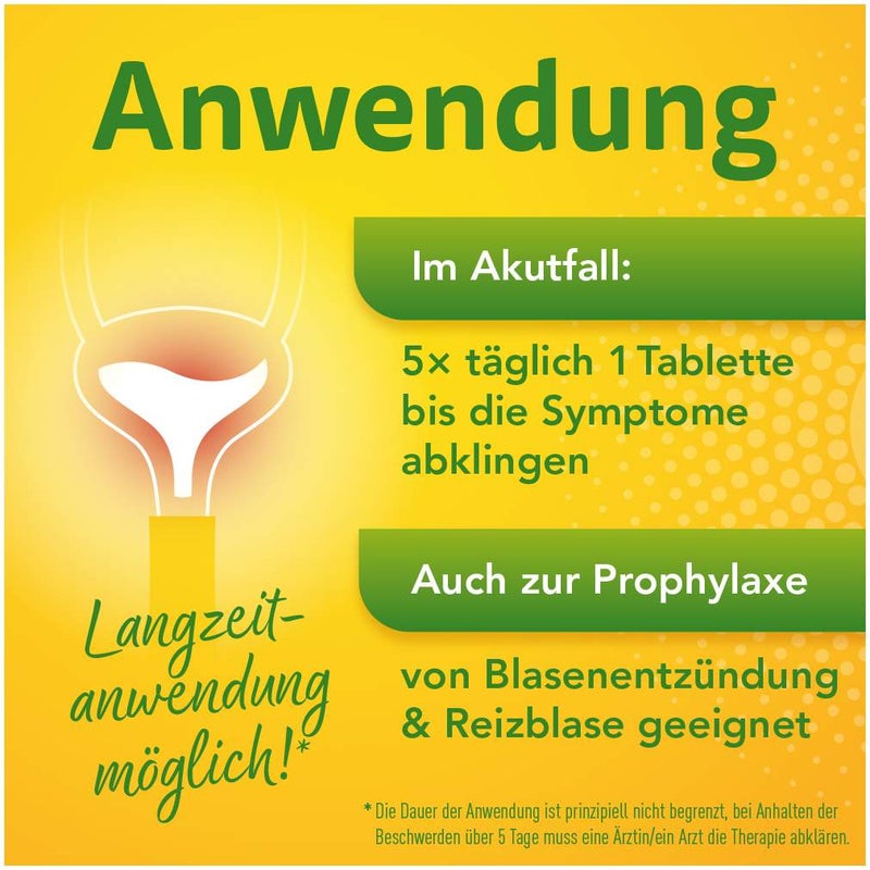 Solidago Aristo 300 mg Tabletten 60 Stück