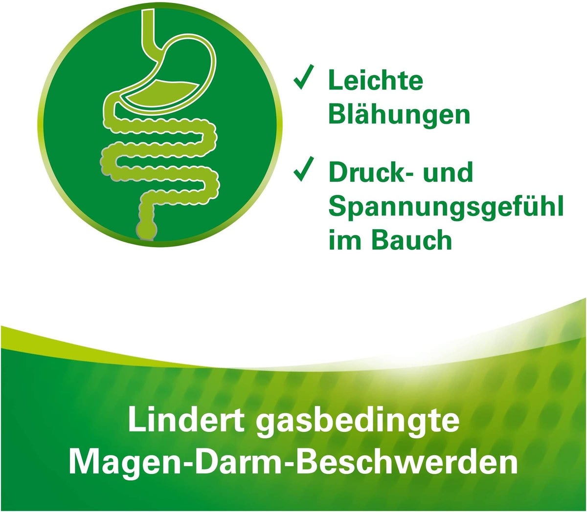 Lefax Kautabletten 100 Kautabletten