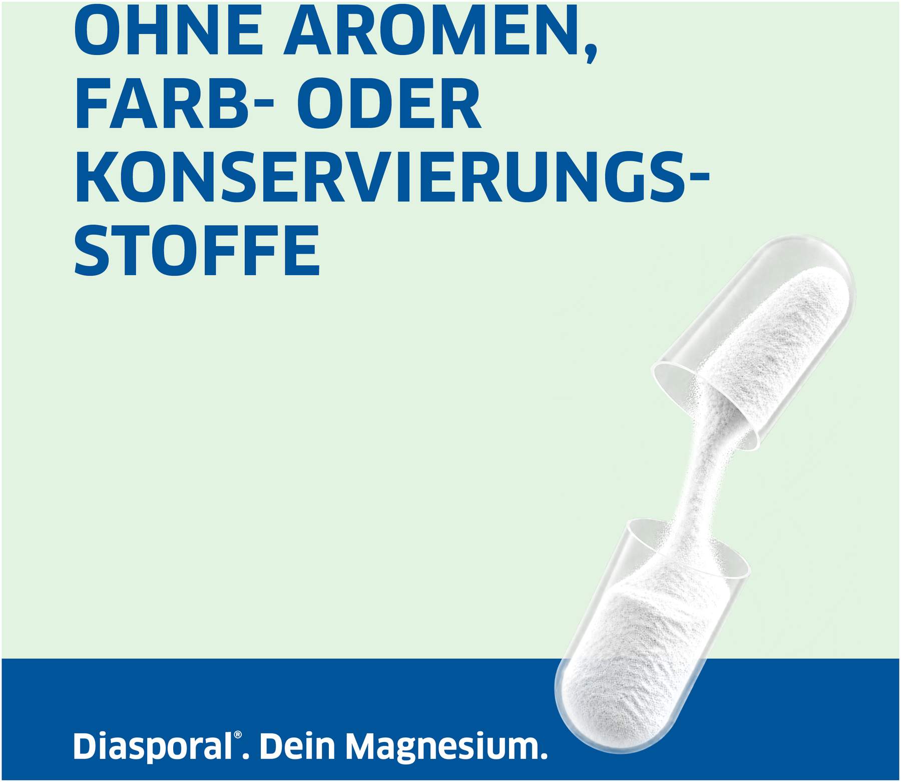 Magnesium Diasporal Komplex pure 90 Kapseln