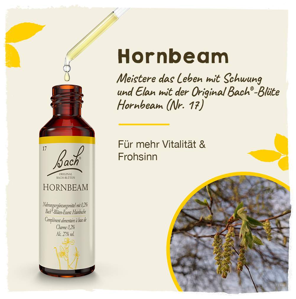 Bachblüten Hornbeam 20ml Tropfen