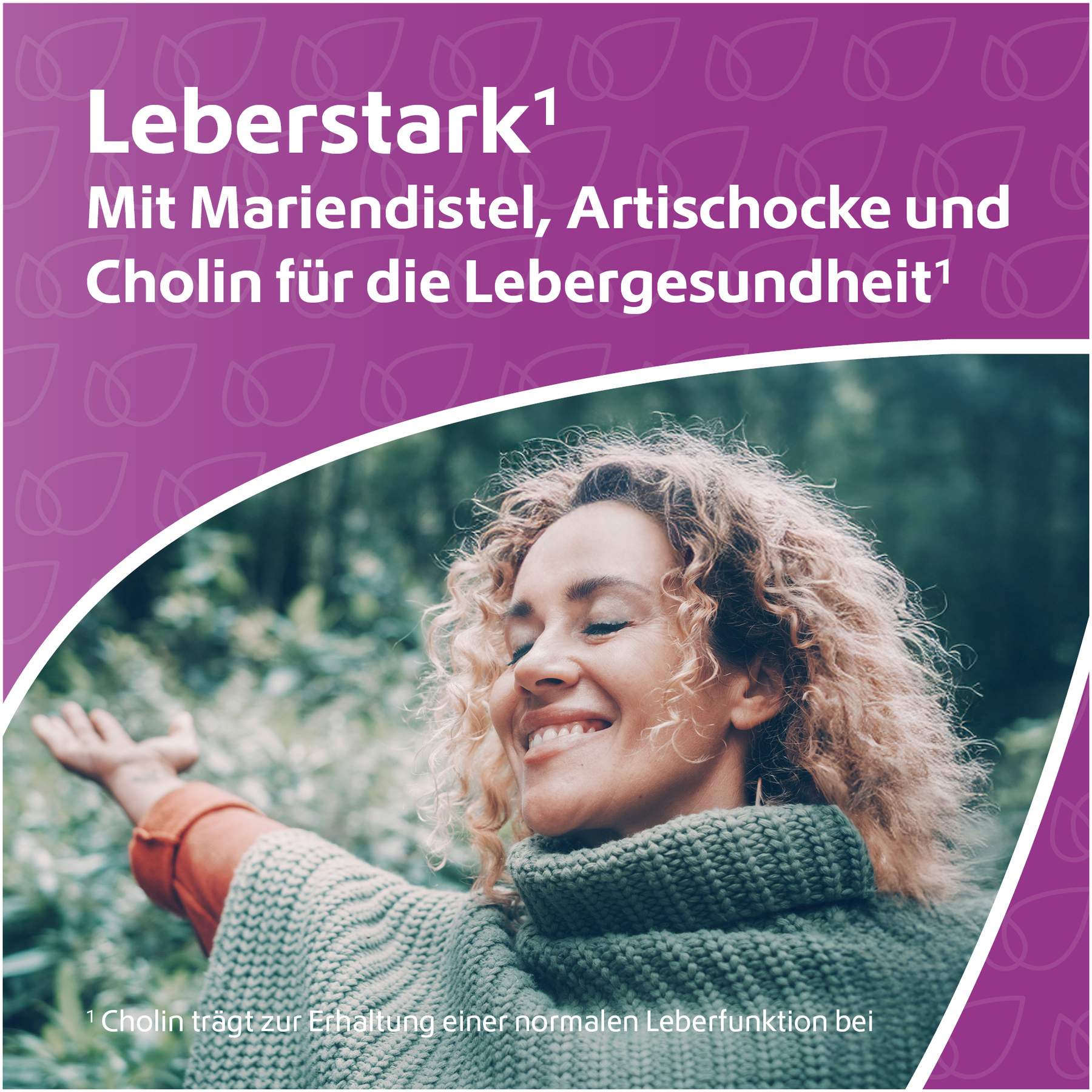 Leber-Komplex Mariendistel + Artischocke + Cholin 120 Kapseln