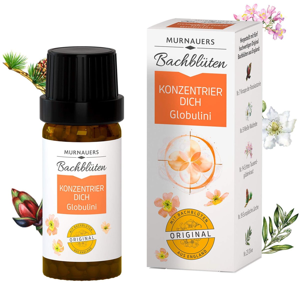 Bachblüten Konzentrier Dich 10 G Globulini