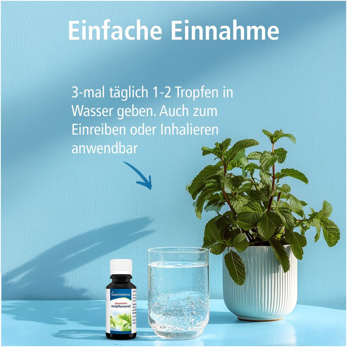 Klosterfrau Japanisches Heilpflanzenöl 20 ml