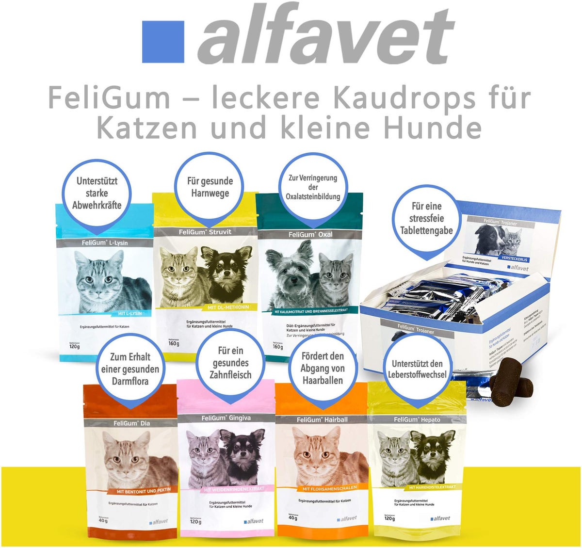 FeliGum Struvit 80 Kaudrops für Katzen und kleine Hunde