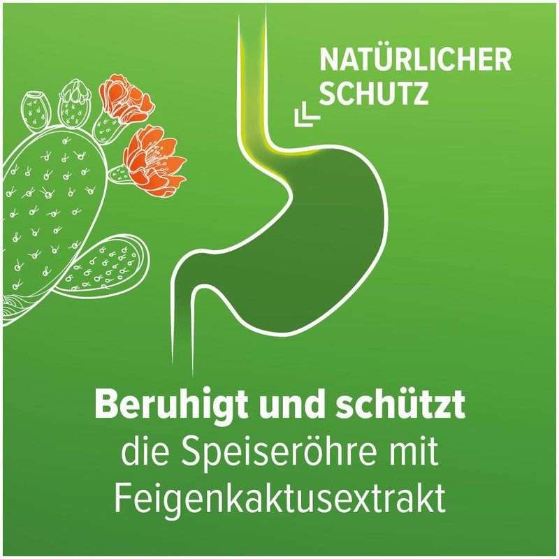 Refluthin Kautabletten Fruchtgeschmack 48 Stück
