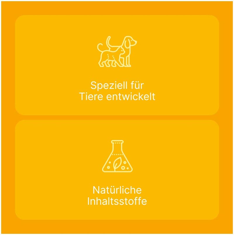 Engystol T Ad Us. vet. 100 Tabletten