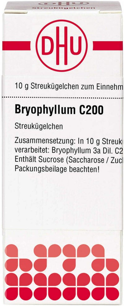 Dhu Bryophyllum C200 Globuli 10 G
