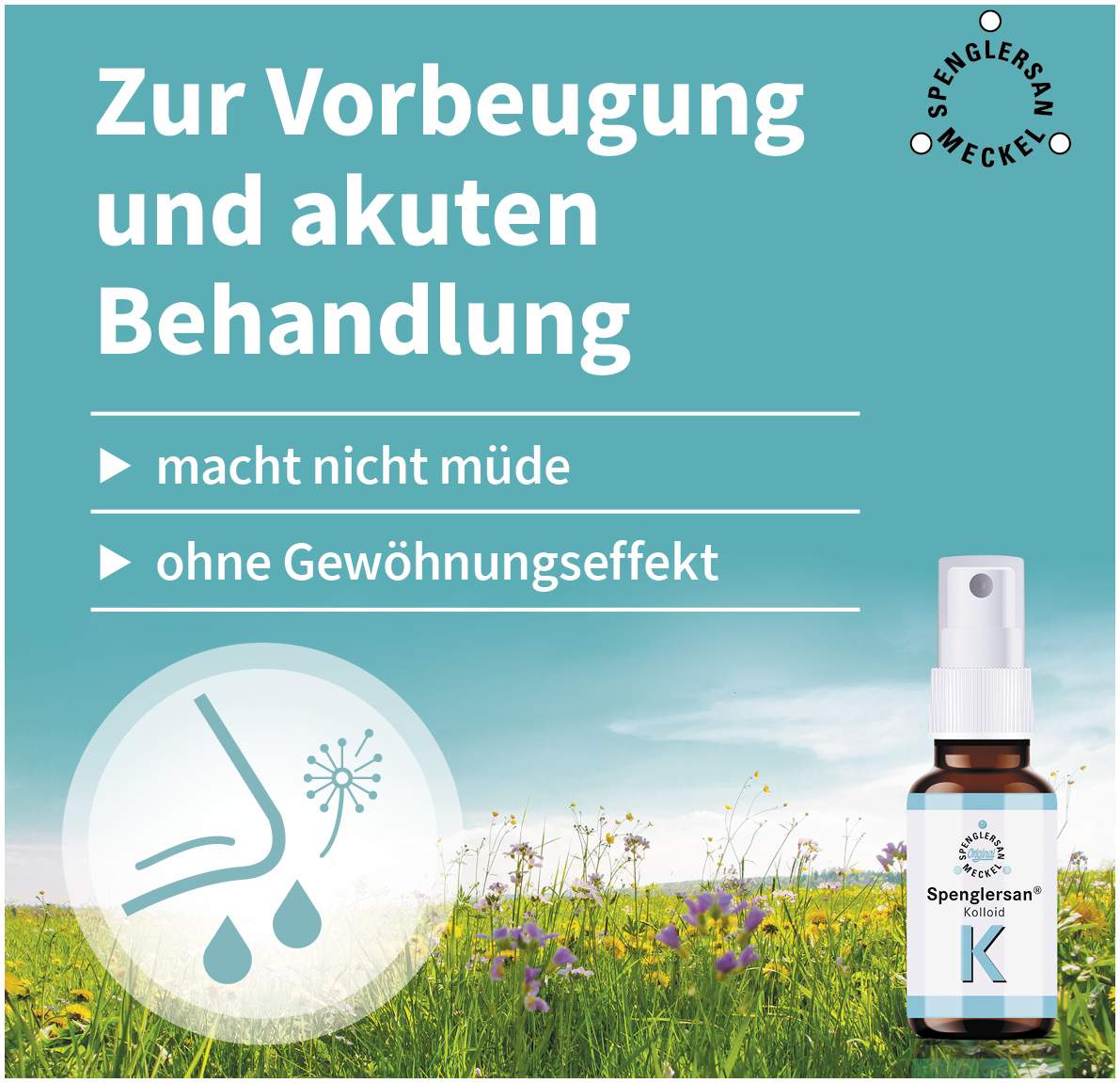 Spenglersan Kolloid K 20 ml Einreibung
