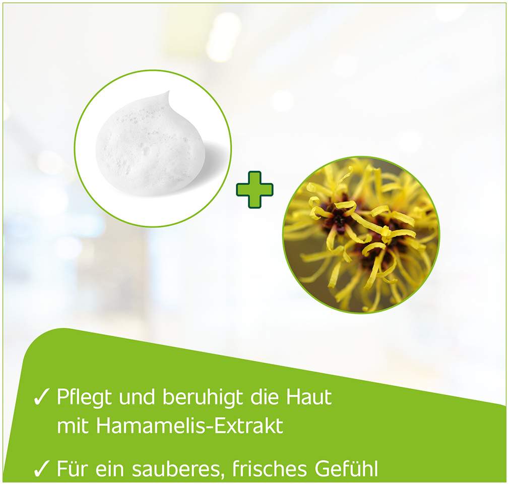 Hametum Medizinischer Reinigungsschaum 100 ml
