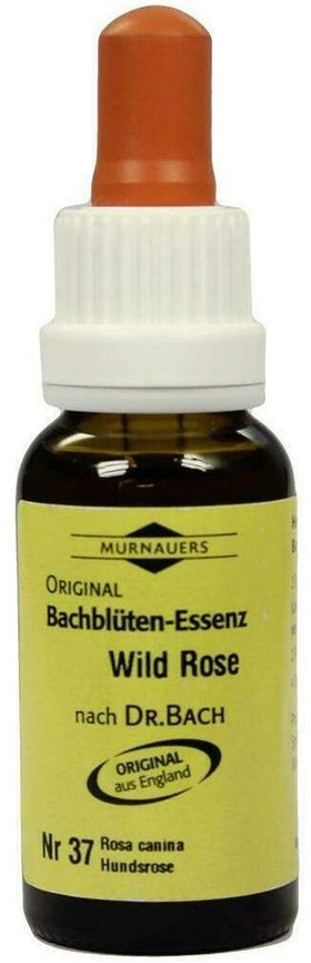 Bachblüten Murnauer Wild Rose 20 ml Tropfen
