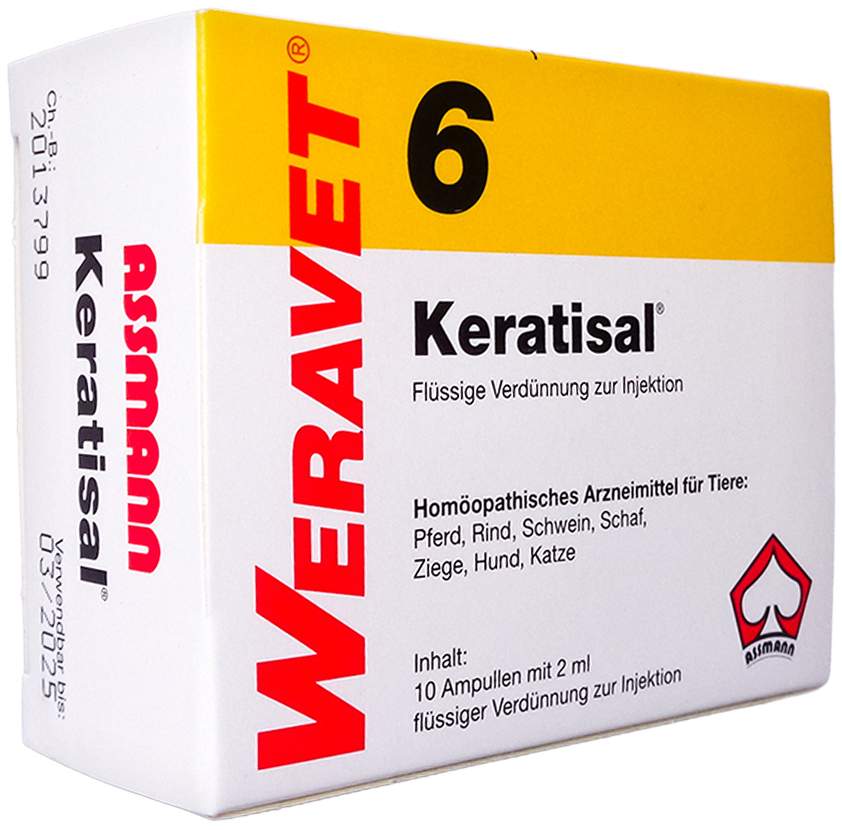 Keratisal 6 Ampullen Vet 10 X 2 ml