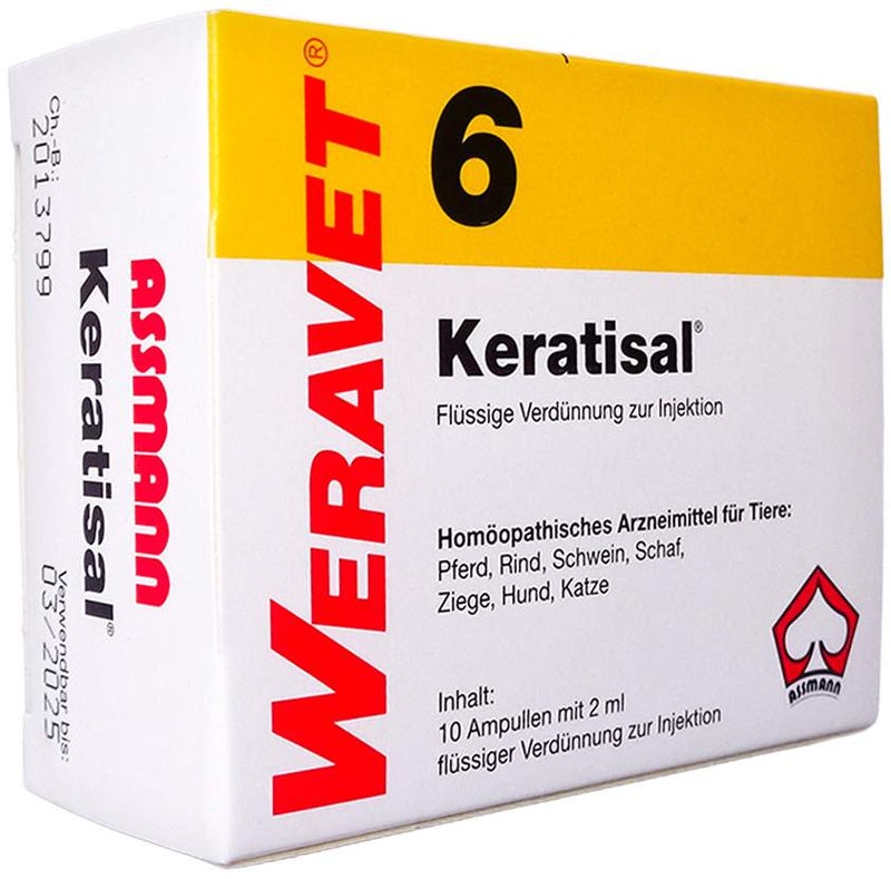 Keratisal 6 Ampullen Vet 10 X 2 ml