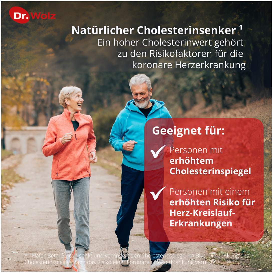 Cholesterinreduktion Dr.Wolz 224 G  Pulver