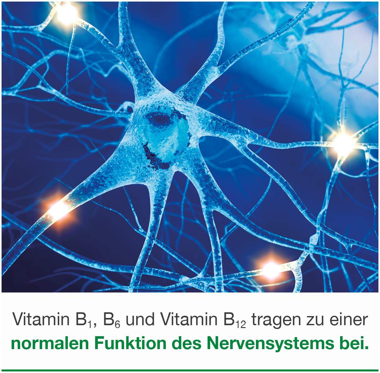 Neurologes Concept 30 Kapseln