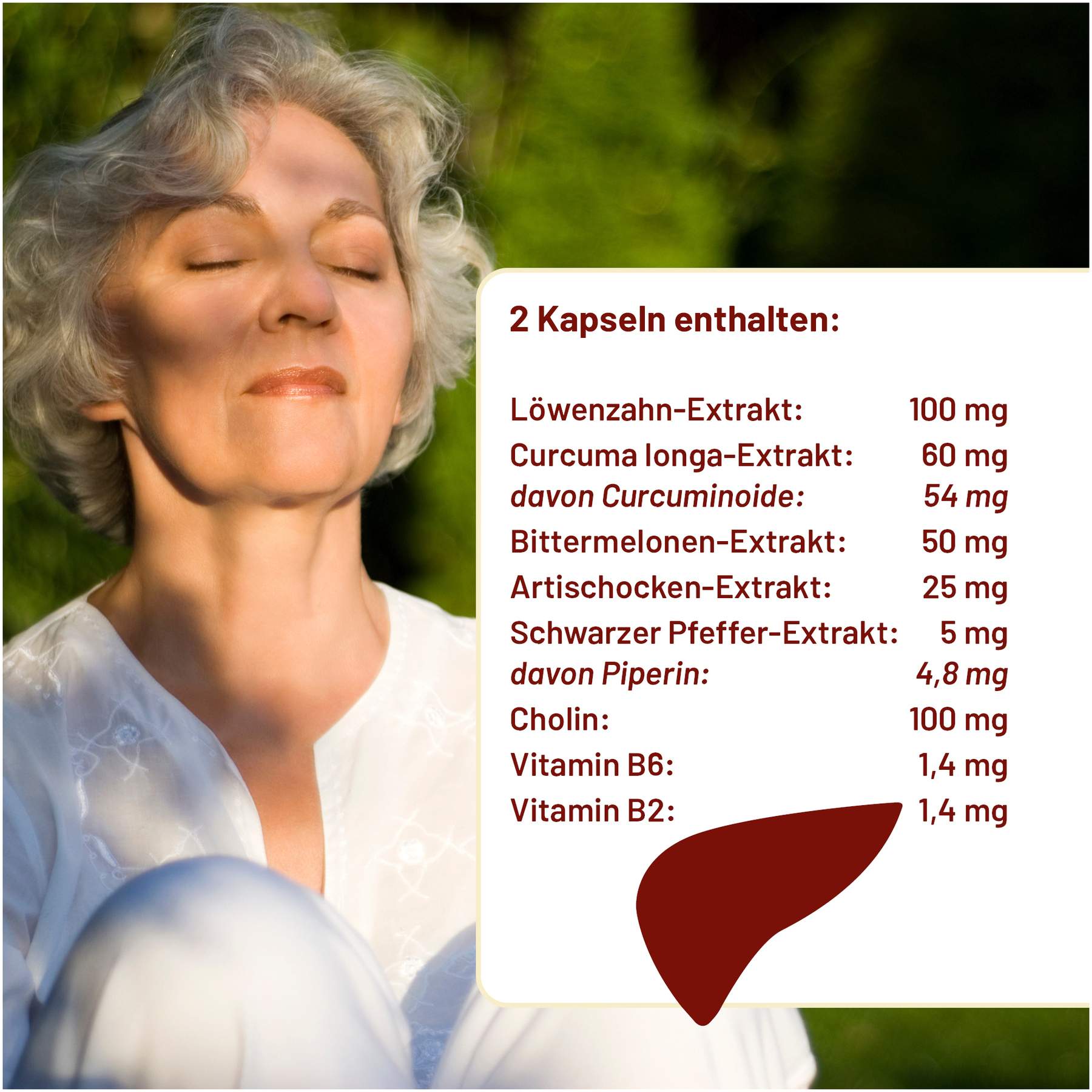 Pangea Kapseln 120 Stück