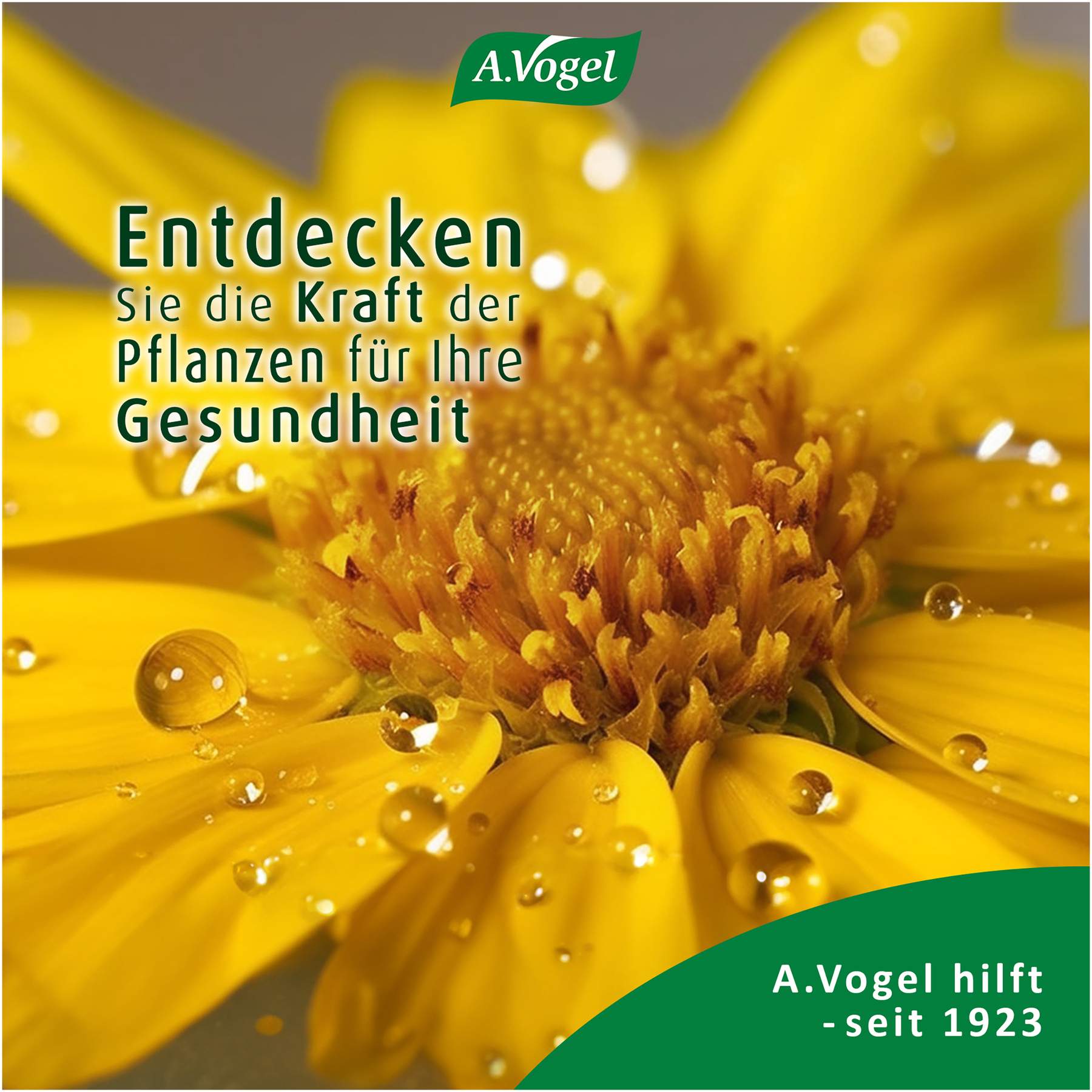 A.Vogel Atrosan Arnika Forte Gel 100 ml
