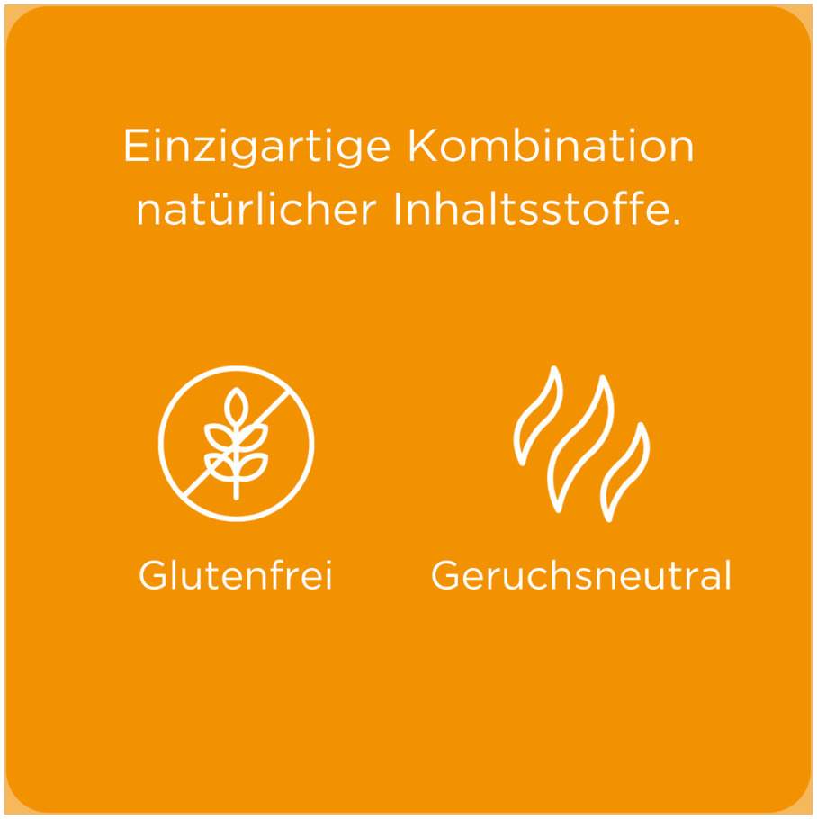 Euphorbium comp. Nasentropfen SN 20 ml Nasendosierspray