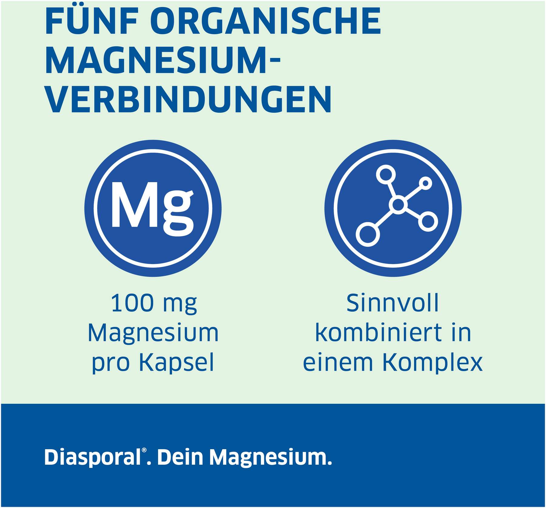 Magnesium Diasporal Komplex pure 90 Kapseln