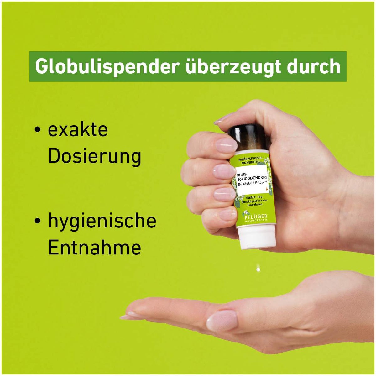 Rhus Toxicondedron D 6 Globuli Pflüger Globulispender 10 g