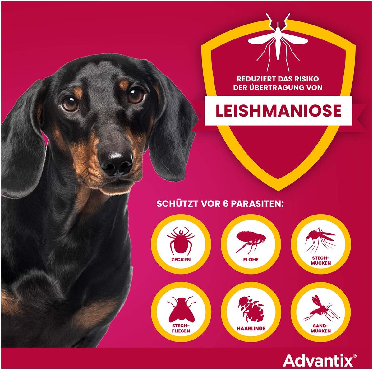 Advantix Spot-On Hund 4-10 kg 4 x 1 ml Lösung