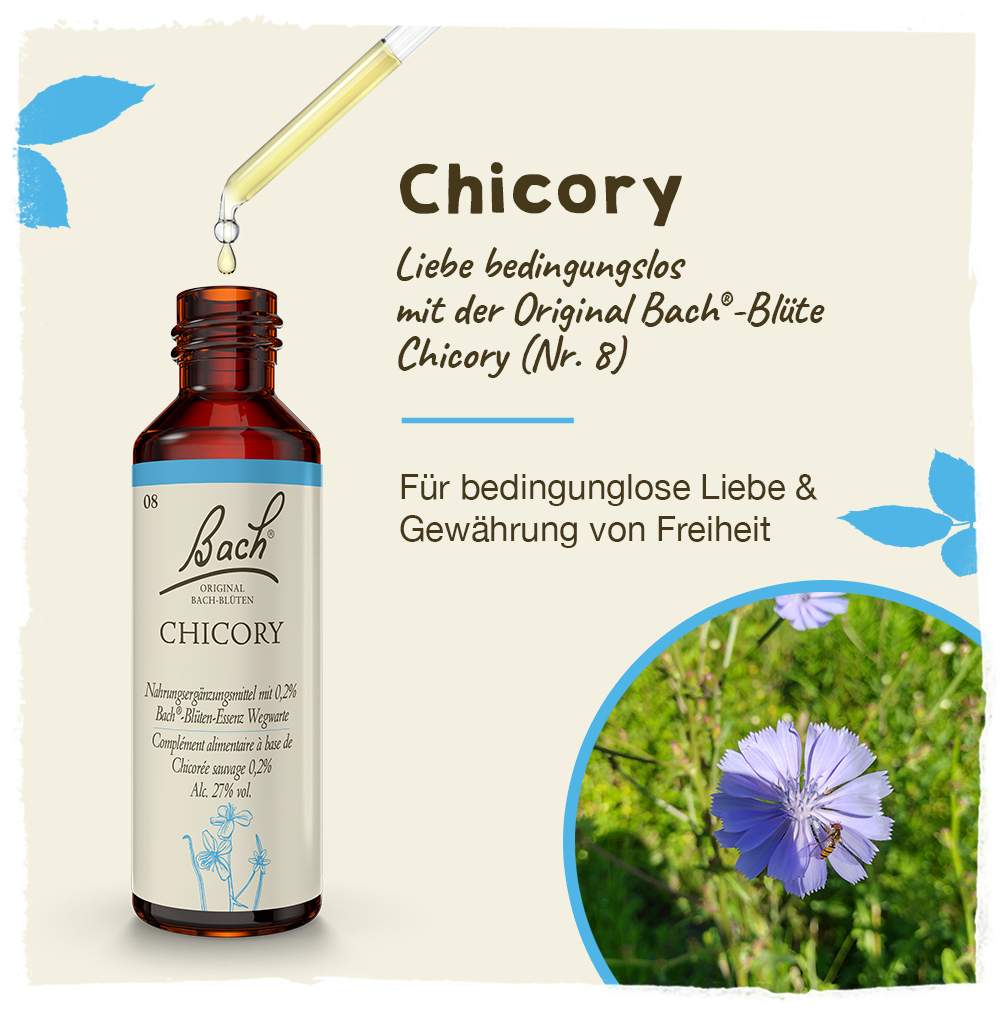 Bachblüten Chicory 20 ml Tropfen