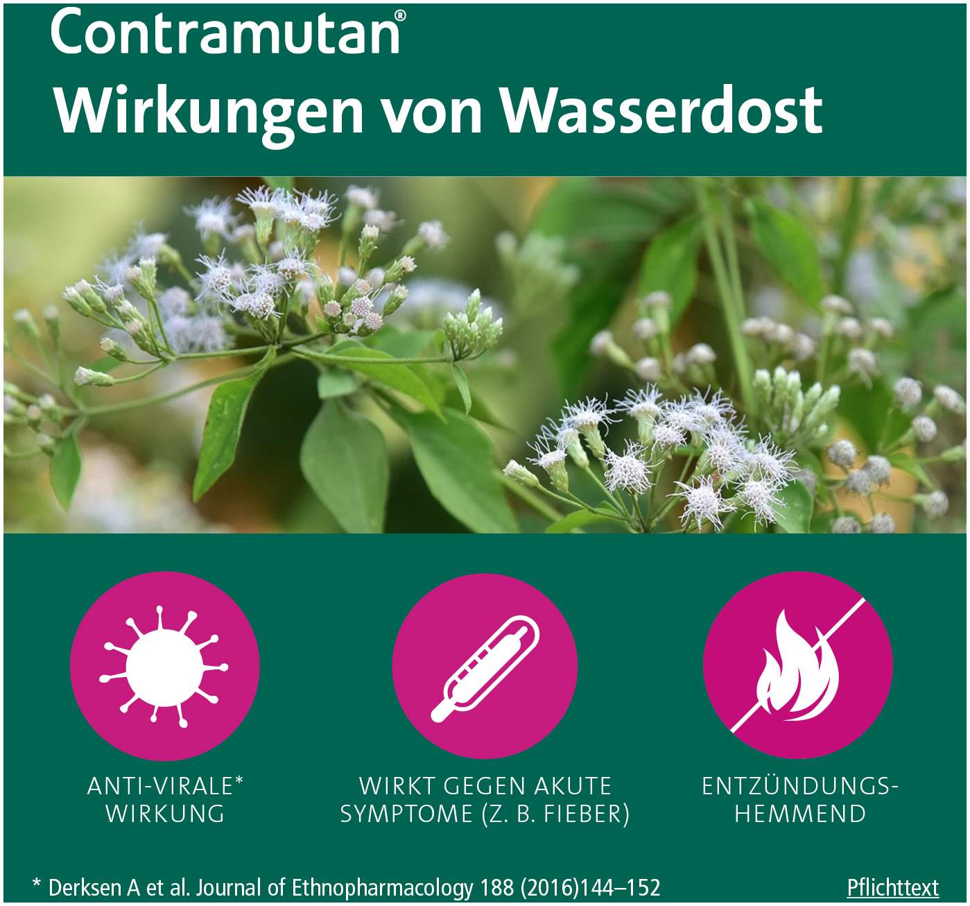 Contramutan Sirup 250 ml