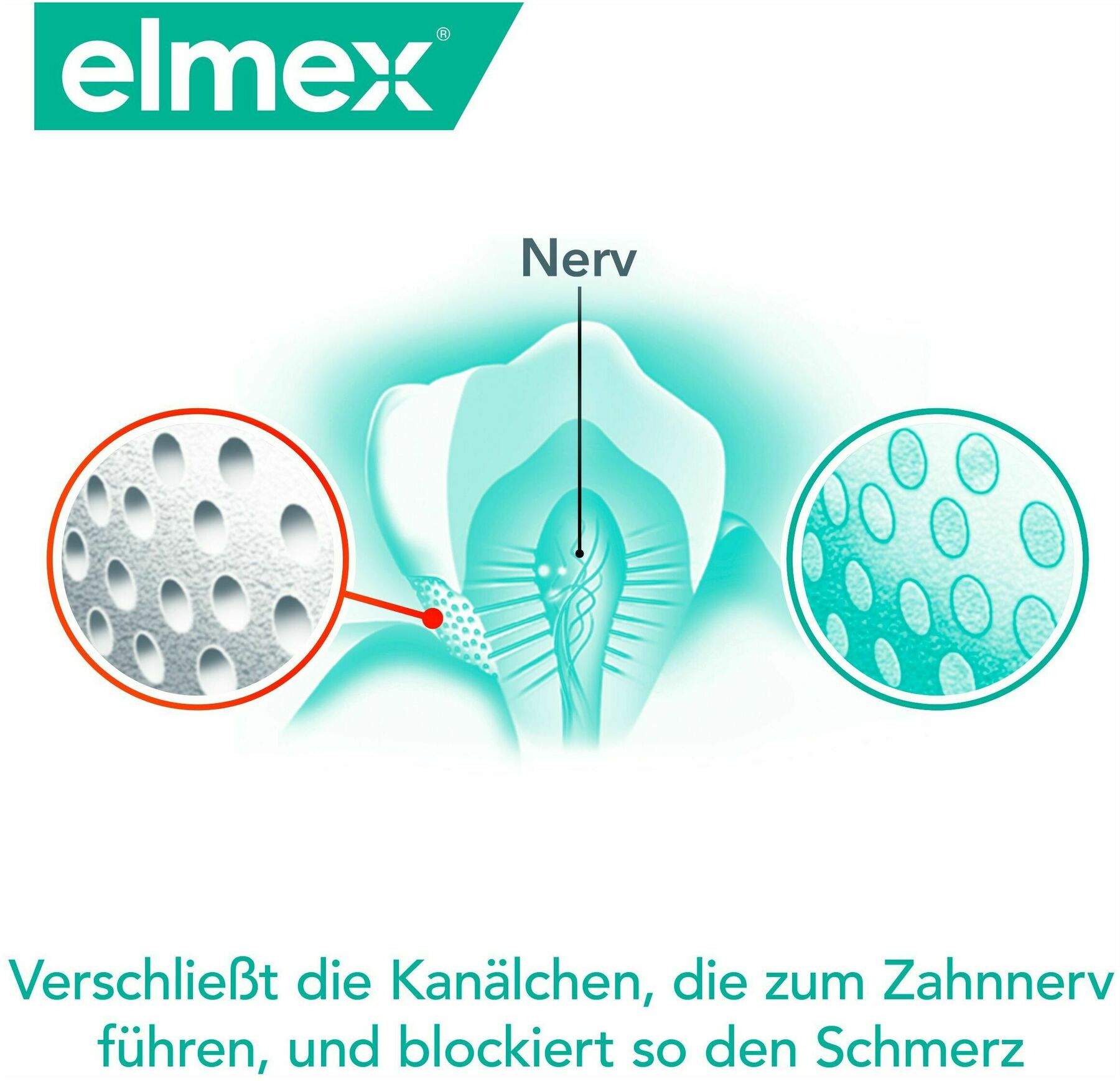 Elmex Sensitive Zahnspülung 100 ml