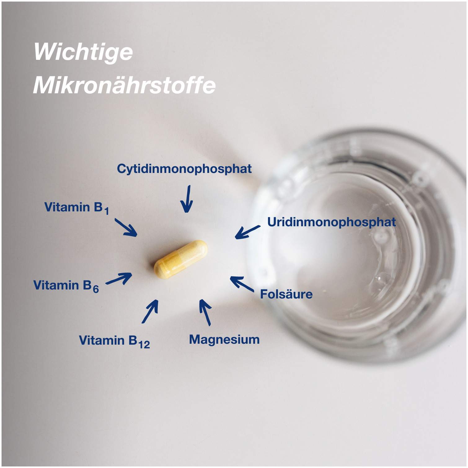 Orthomol neuro 90 Kapseln