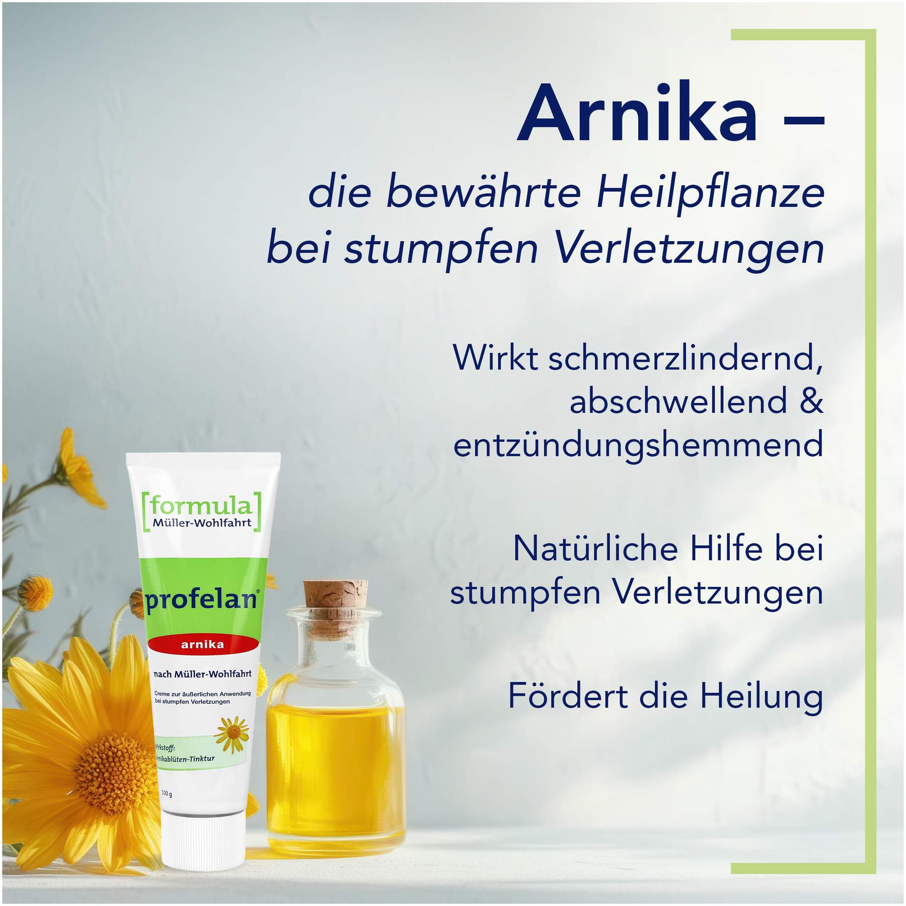 Profelan Salbe nach Müller-Wohlfahrt 100 g