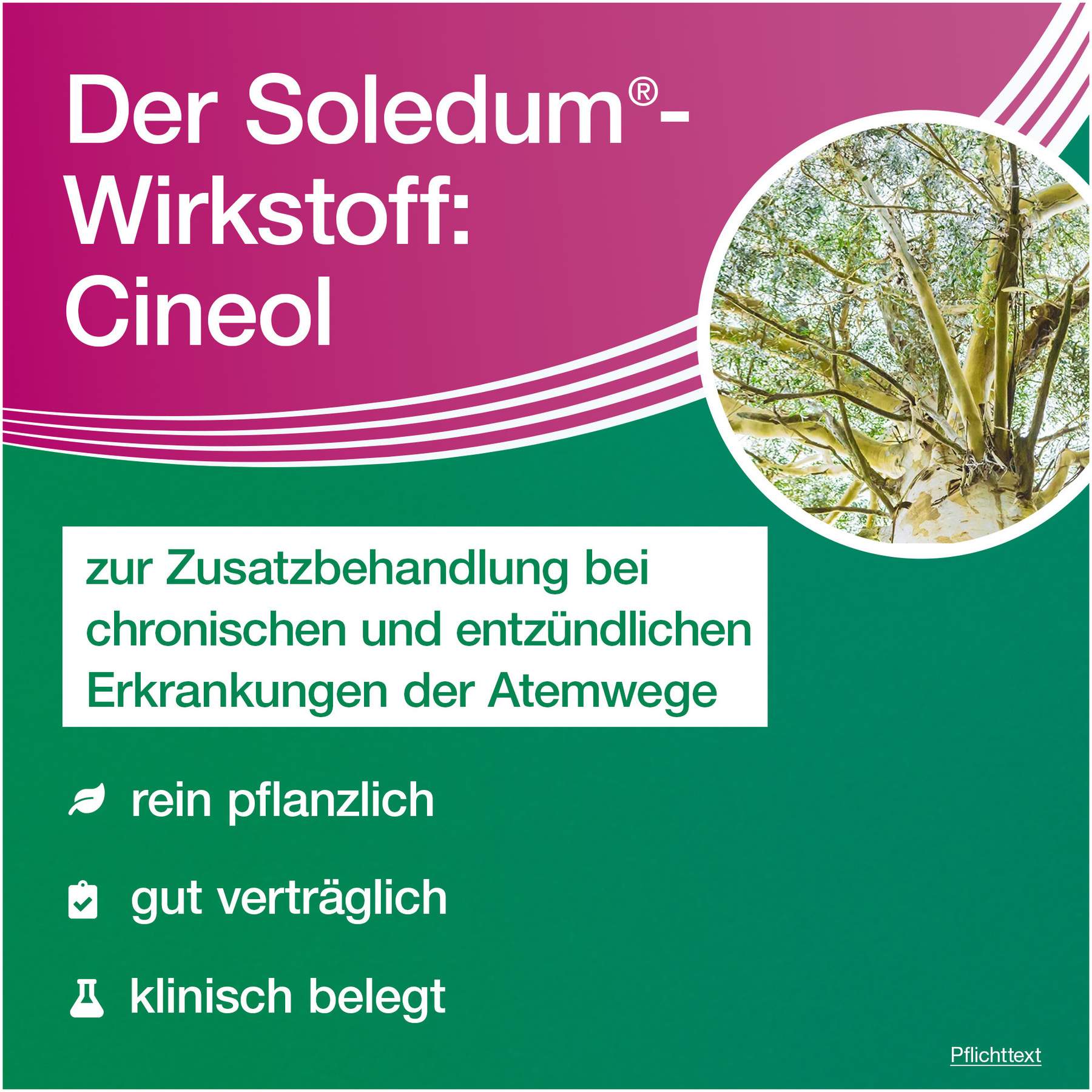 Soledum addicur 200 mg 100 magensaftresistente Weichkapseln