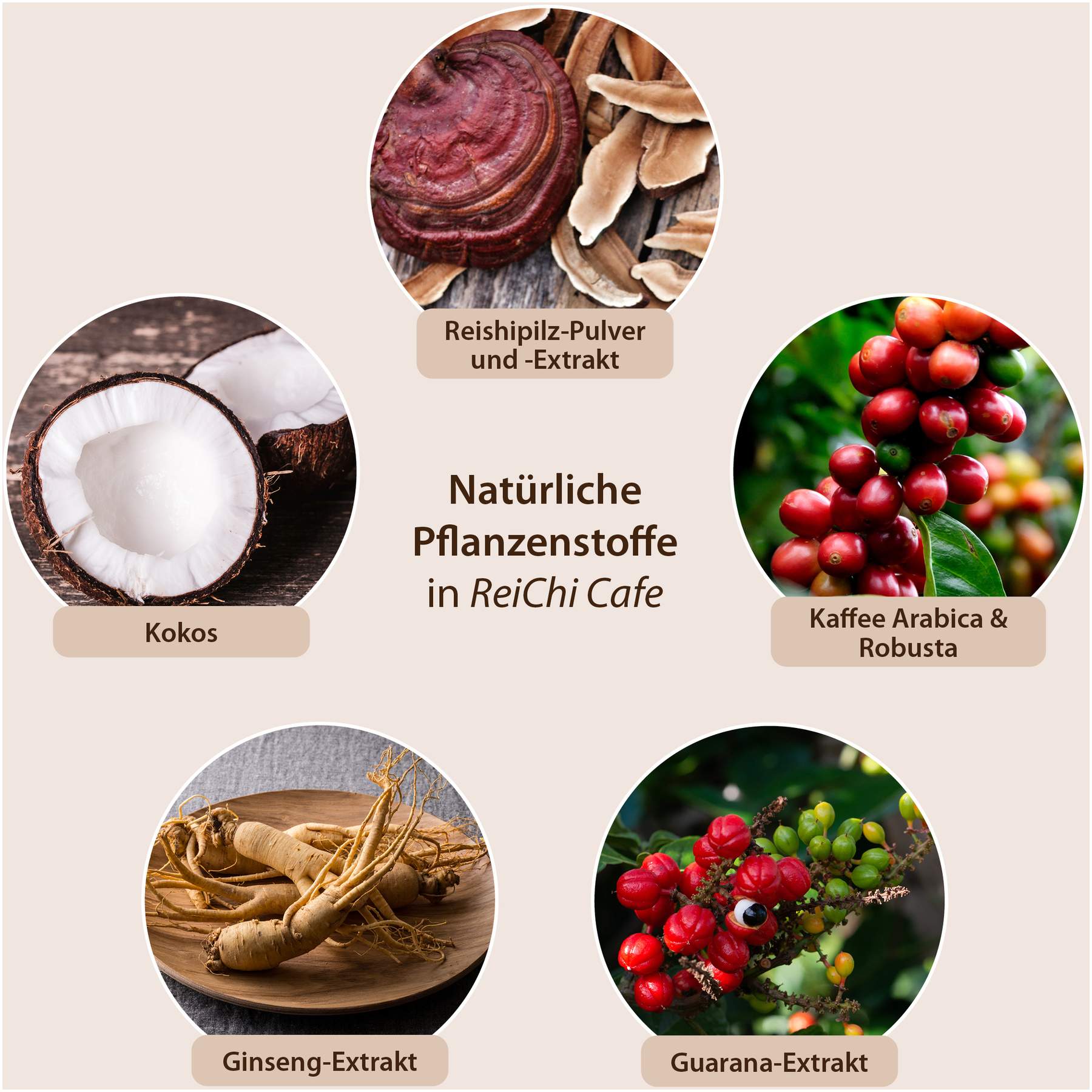 Reichi Cafe Reishi - Pilz Kaffee Kokos Vegan 180 G Pulver